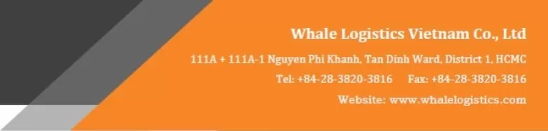 Công ty TNHH Whale logistics Việt Nam 